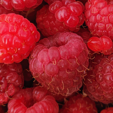 Image pour le parfum Framboise